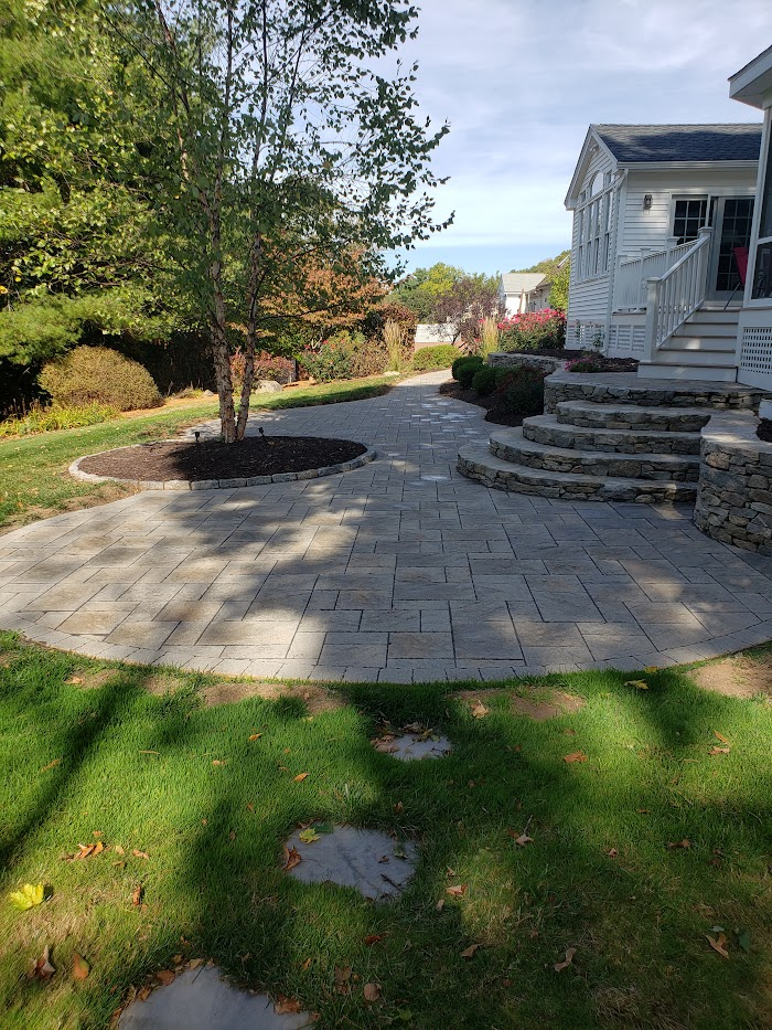 Curved steps with a tree circle